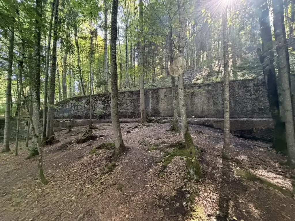 Overgebleven keermuur van de Berghof tussen bomen en begroeiing.