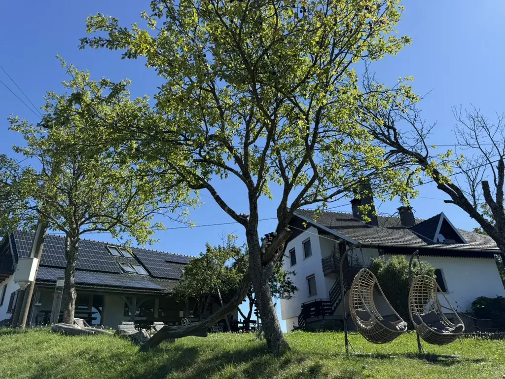 Hangstoelen in het gras bij het huis en de bomen van Tourist Farm Strle.