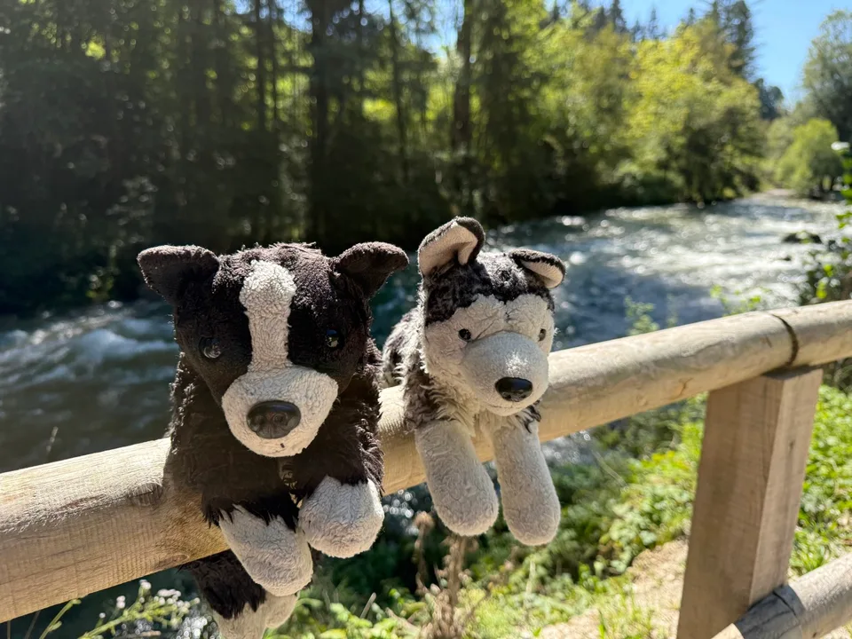 De knuffels Dribbel en Misty samen op een houten reling bij een rivier.